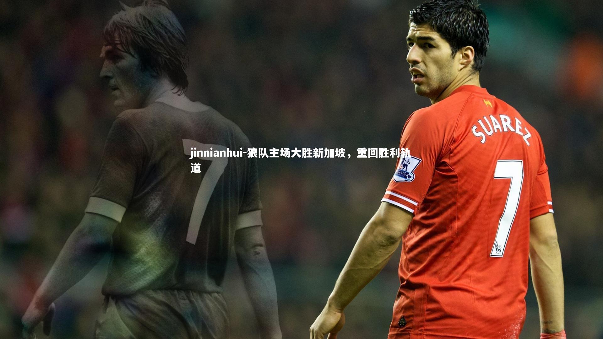 狼队主场大胜新加坡,重回胜利轨道