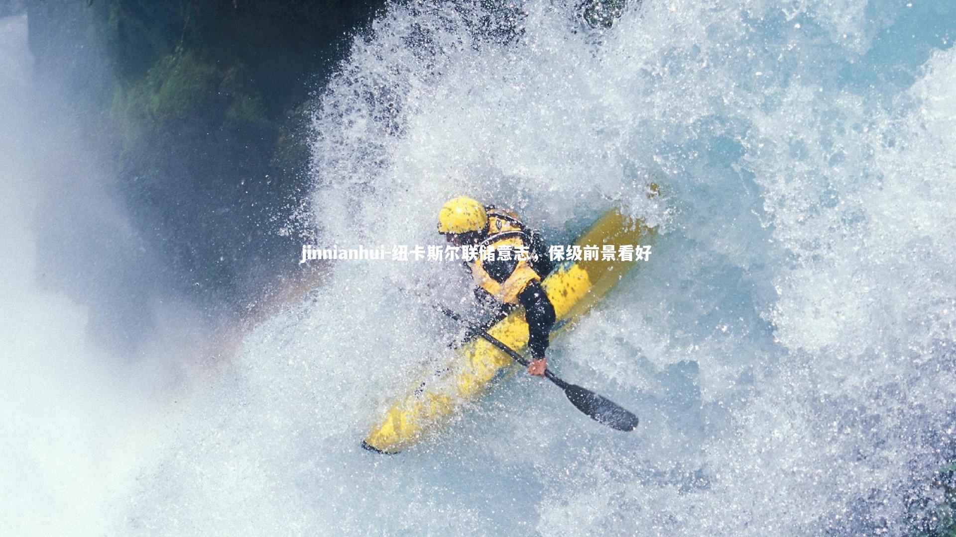 纽卡斯尔联储意志,保级前景看好