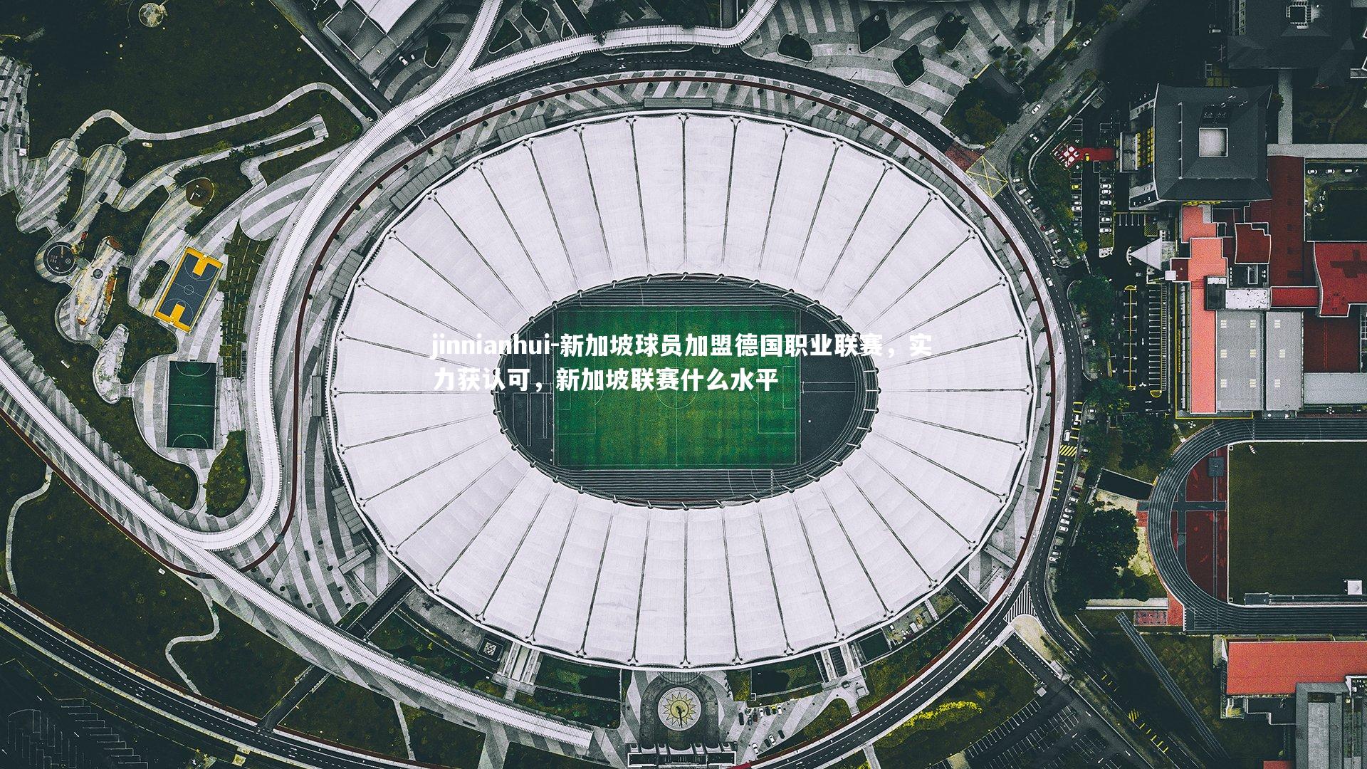 新加坡球员加盟德国职业联赛，实力获认可，新加坡联赛什么水平